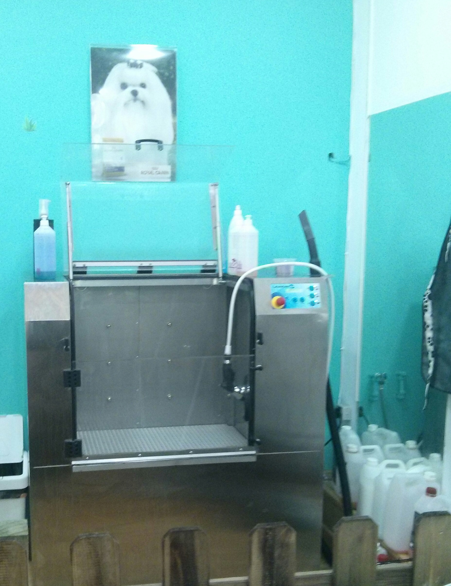Nuestro SPA Canino y Bañera